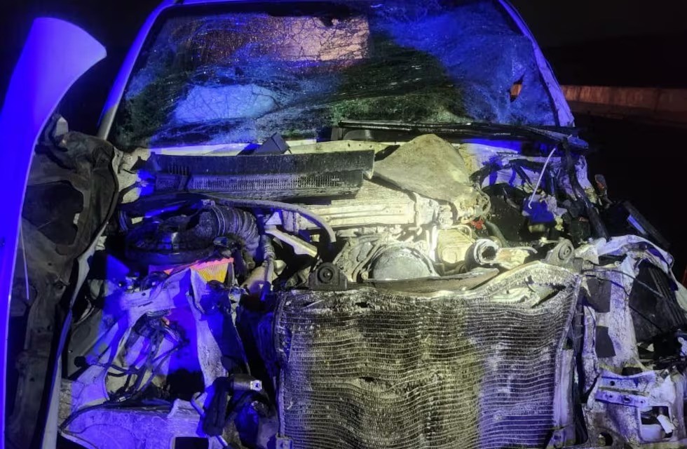 Un patrullero chocó contra dos búfalos en la nueva autovía de Punilla | Córdoba