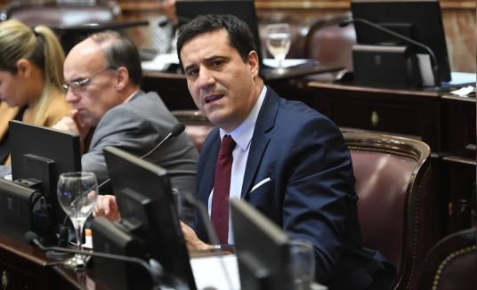 Abad explicó por qué no votó la expulsión de Kueider: "El Senado se convirtió en juez" | Política y economía