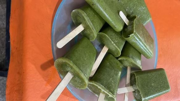 Estudiantes de Alta Gracia elaboraron helado de clorofila con vegetales de su huerta escolar | Actualidad