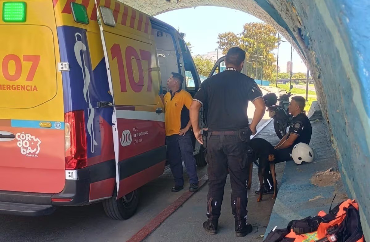 Video: un perro cayó al río, su dueño se lanzó a salvarlo y los arrastró la corriente | Córdoba