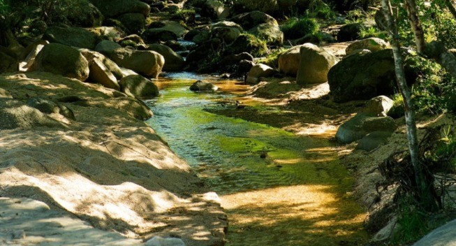 Vecinos de La Cumbrecita denuncian contaminación a causa de residuos cloacales | Córdoba