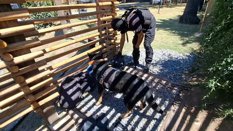 La FPA incautó éxtasis y marihuana en Villa Carlos Paz | Córdoba