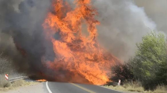 Dramática advertencia sobre los incendios en Nahuel Huapi: se tardará más de tres meses en detenerlos | Actualidad