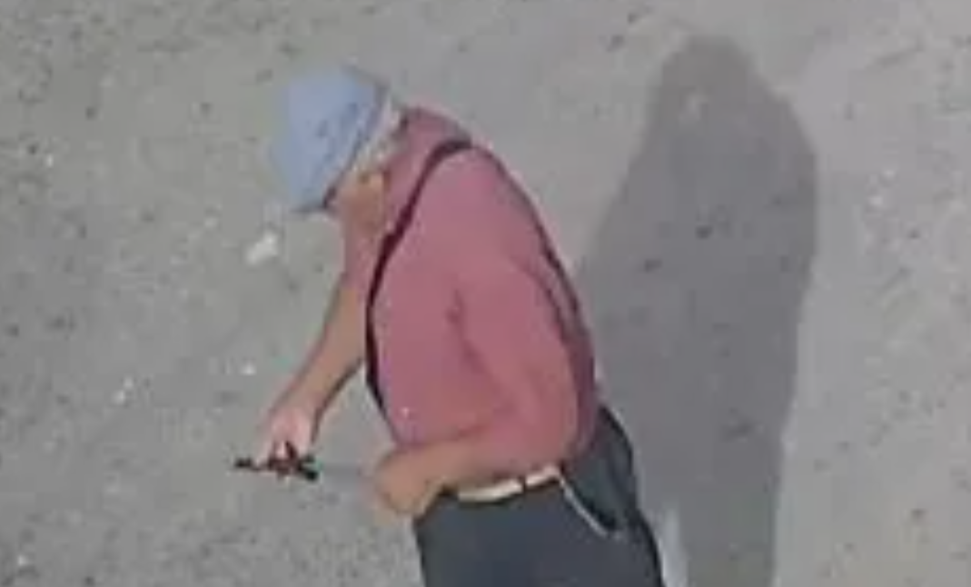 Detuvieron a un hombre de 70 años por matar a un perro de una puñalada | Actualidad