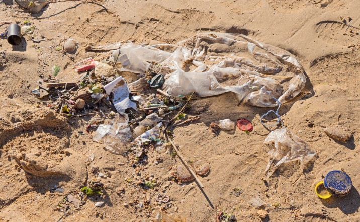 Más del 70% de los residuos en la costa bonaerense son plásticos, según reciente censo | Actualidad