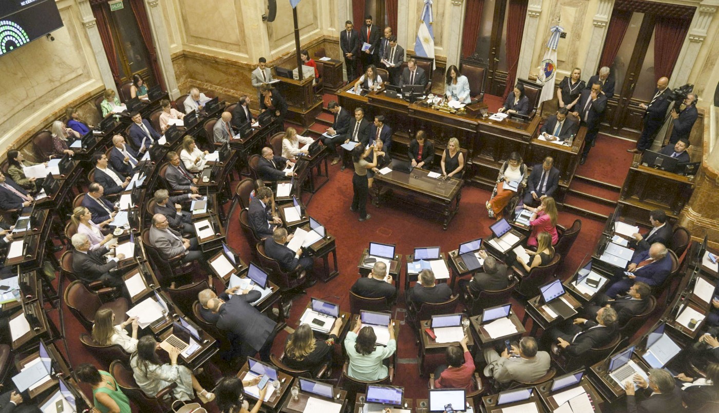 Senado: acuerdo entre el oficialismo y dialoguistas para avanzar con la suspensión de las PASO | Política y economía