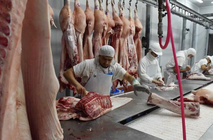 En enero, Córdoba registró un crecimiento en la faena de carne de bovinos y cerdos | Deportes