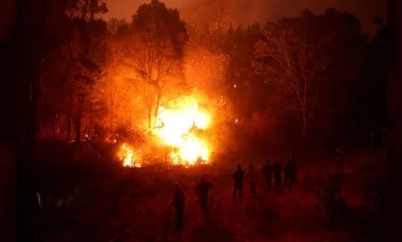 Chile enfrenta 22 incendios forestales en plena temporada de verano | Internacionales
