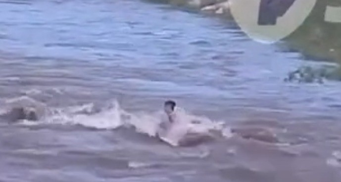 Un joven de 22 años se lanzó al cauce del Río Suquía para escapar de la policía: lo detuvieron | Córdoba