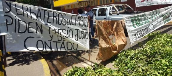 Productores queman plantas de yerba mate en Misiones para protestar por los precios | Actualidad