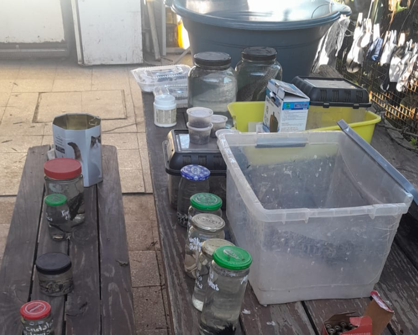 La policía allanó un comercio de fauna exótica ilegal en córdoba | Córdoba