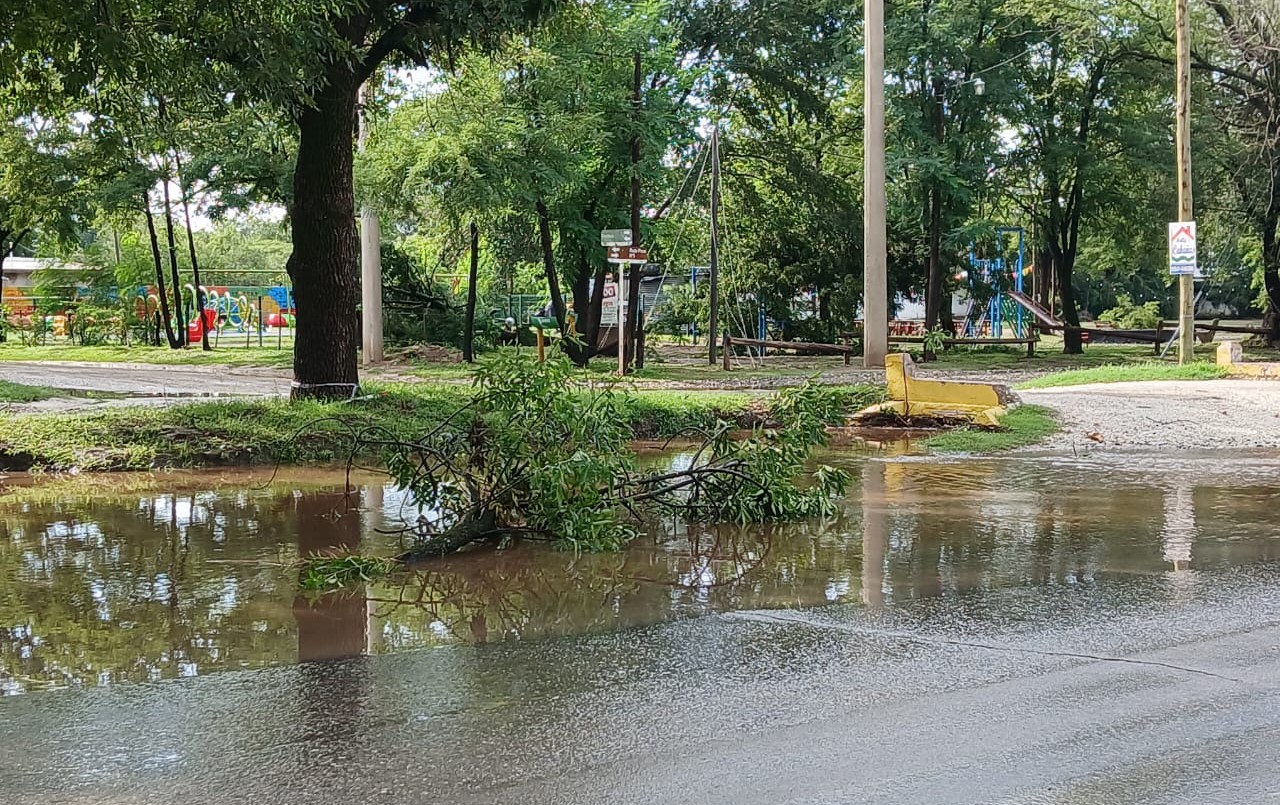 Temporal en el departamento Santa María: intensas lluvias, caída de árboles y destrozos en Anisacate | Córdoba