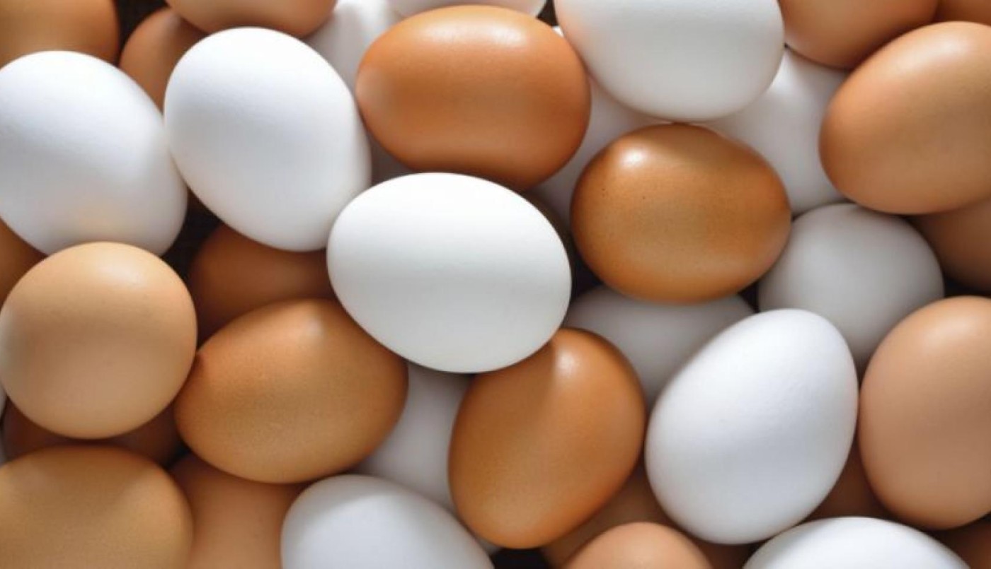 Incremento en el precio de los huevos genera preocupación | Córdoba