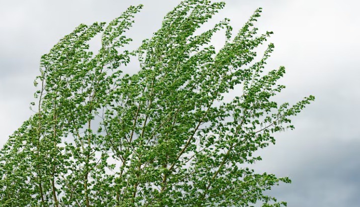 Fuerte descenso de temperatura desde este viernes en Córdoba | Córdoba