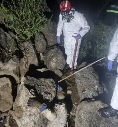 Hallan sin vida a un hombre que intentaba extraer un enjambre de abejas | Córdoba