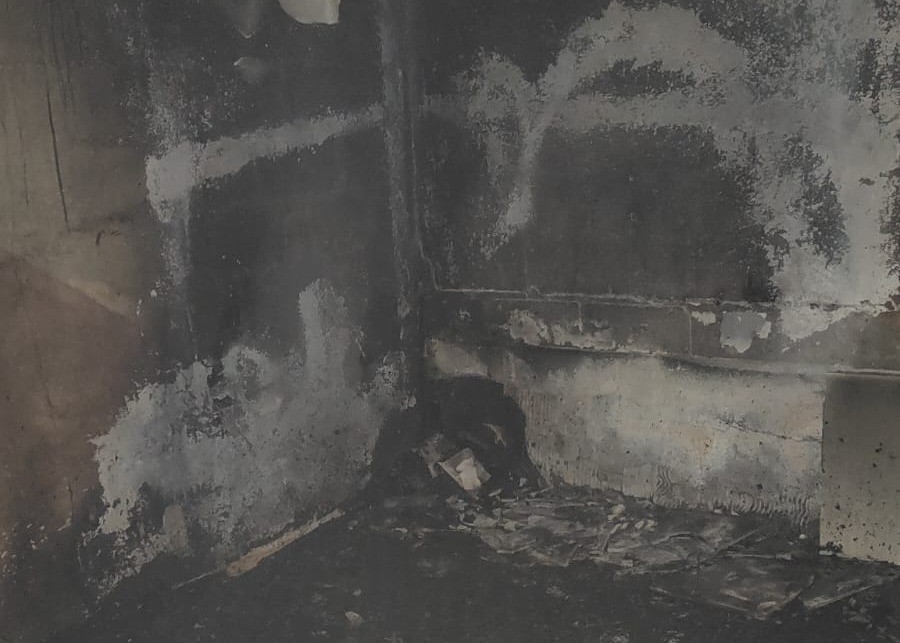 Córdoba: bomberos rescataron a un caniche de un incendio | Córdoba