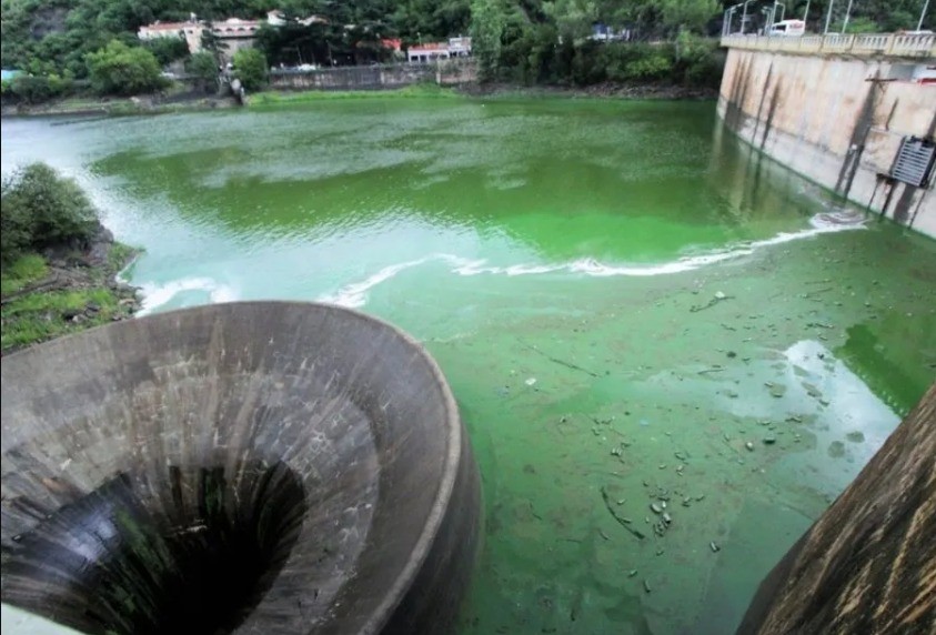 La Justicia ordenó un plan de saneamiento urgente para el Lago San Roque | Córdoba