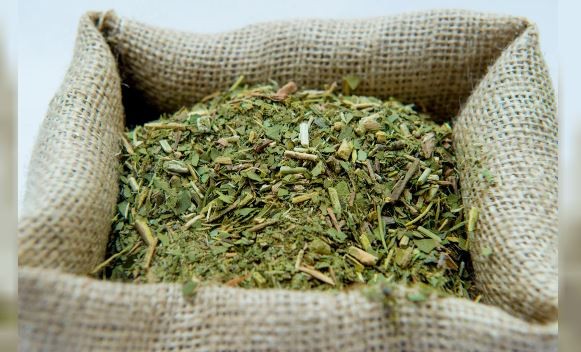 La cosecha de yerba mate cayó más del 30% en el primer trimestre del año | Actualidad