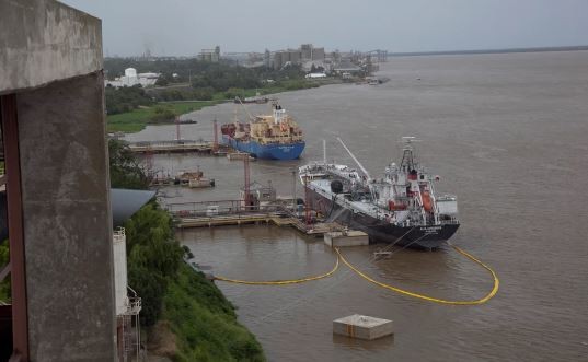 Sube 11% el volumen de exportación de productos agroindustriales | Política y economía