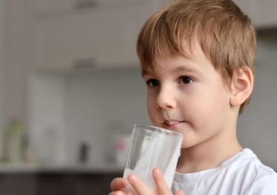 Anses confirmó la suba del Complemento Leche | Política y economía