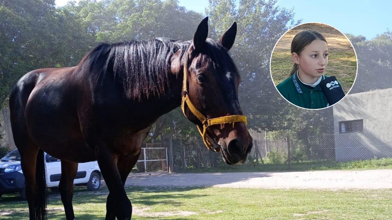 Villa Esquiú: una nena de 10 años busca desesperadamente a sus caballos | Córdoba