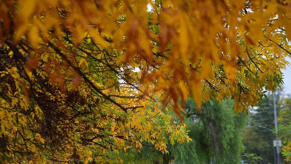Tiempo en Córdoba: comienzo de semana con buen clima y temperaturas agradables | Córdoba