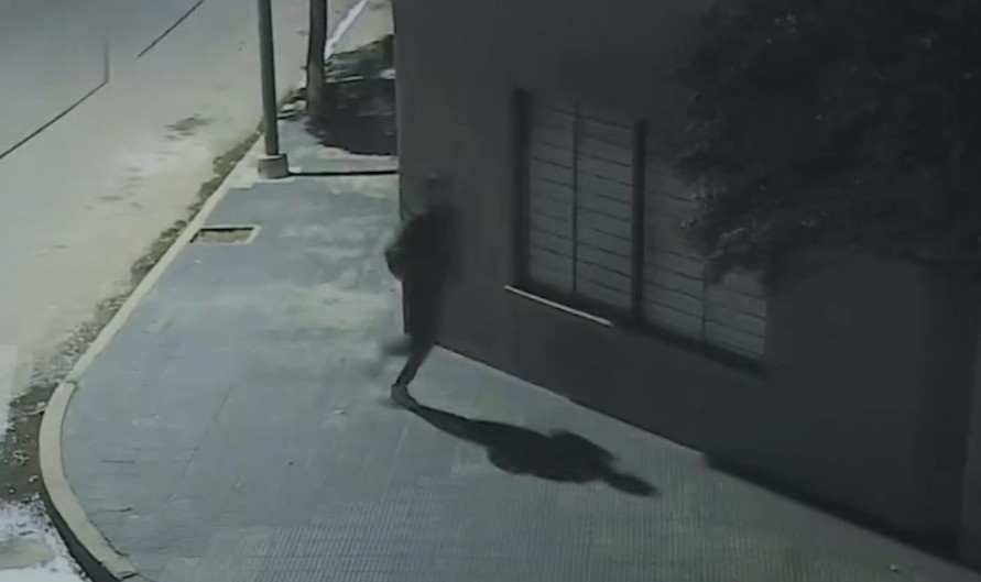 Deambulaban por los techos de una escuela y una casa en Alto Alberdi: los atraparon | Córdoba