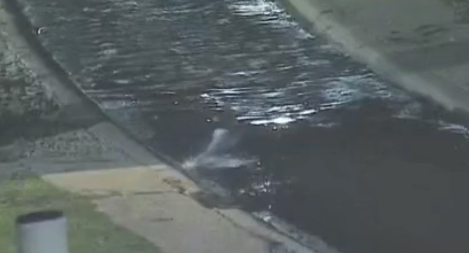 En pleno invierno: intentó robar una moto y se lanzó al Suquía para escapar | Córdoba