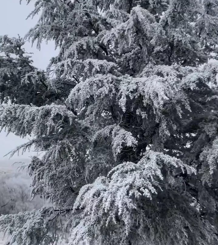 Temperaturas extremas: estas fueron las localidades más frías de Córdoba | Córdoba