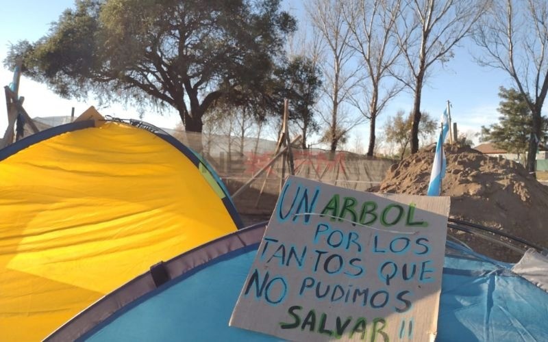 Mientras se define su futuro, vecinos de Villa Allende intentan salvar al quebracho del frío | Córdoba