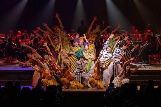 Vacaciones de invierno en Córdoba: actividades para divertirse y disfrutar en familia | Córdoba