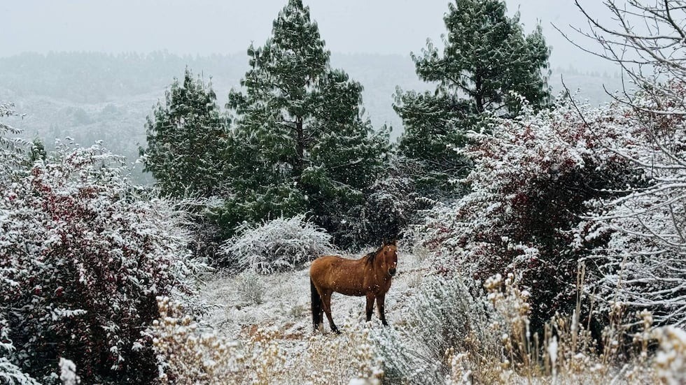 ¿Se viene una nueva nevada en Córdoba?: cuándo y qué chances hay | Córdoba