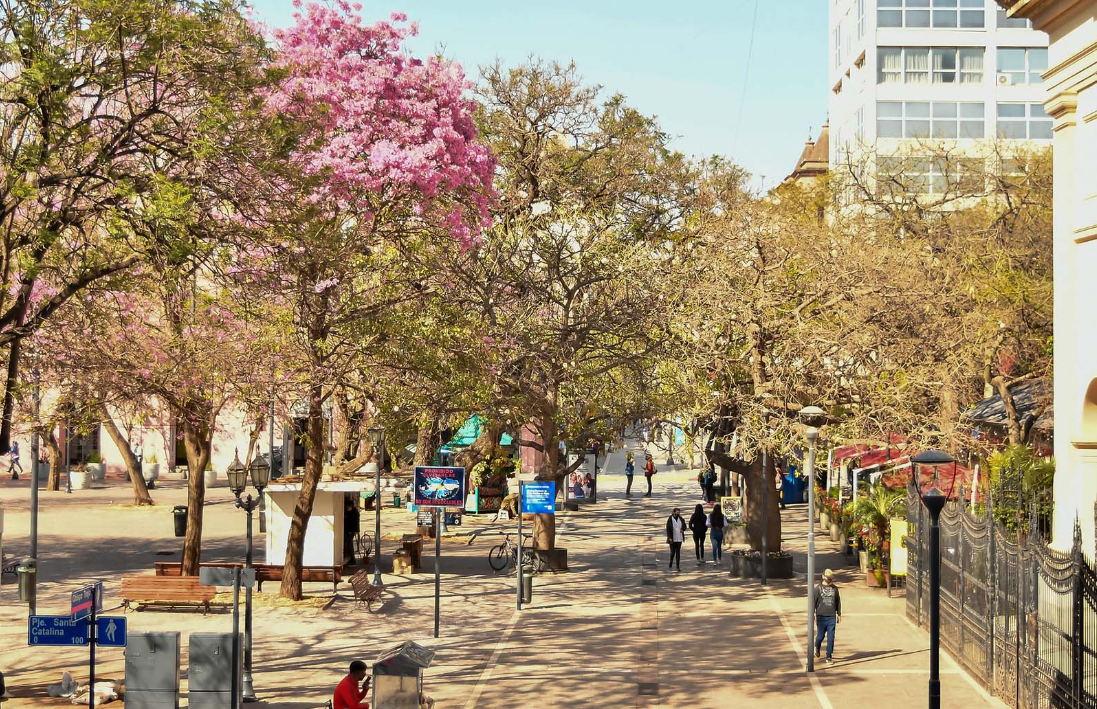 Pronóstico del finde: jornadas con temperaturas templadas y vientos moderados | Córdoba