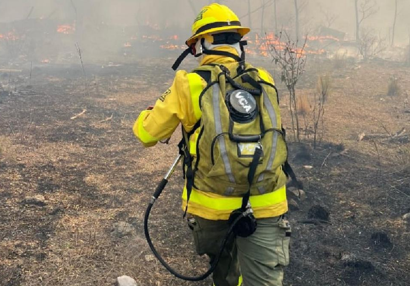 Incendios en Córdoba: controlados y con un detenido en Traslasierra | Córdoba