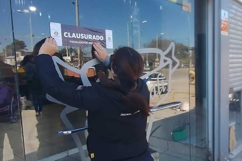 Clausuraron un frigorífico por arrojar restos cárnicos en la vía pública | Córdoba