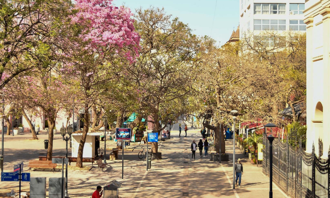 Pronóstico del tiempo en Córdoba: días soleados y temperaturas variables | Córdoba