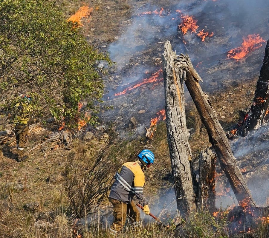 Incendio forestal en Capilla Vieja: bomberos y aviones hidrantes combaten las llamas | Córdoba