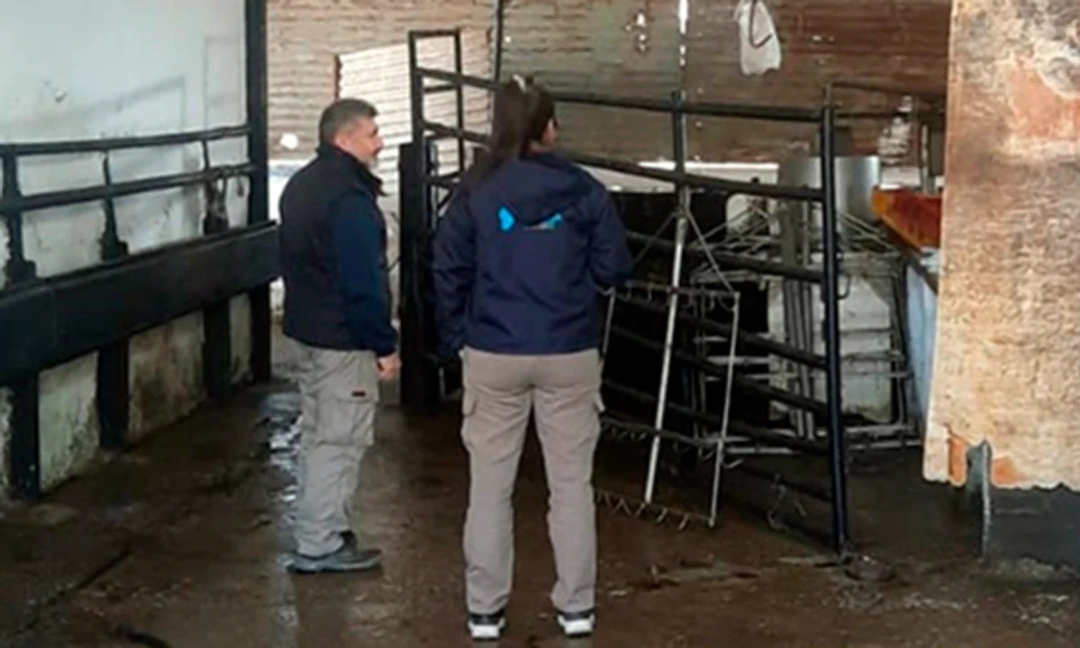 Patrulla Rural de Córdoba descubre matadero ilegal y secuestra 100 kilos de carne | Córdoba
