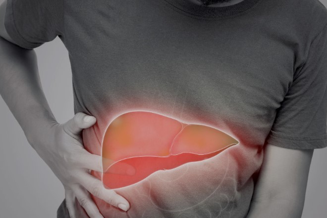 Descubren  una molécula que protege el hígado ante la hepatitis fulminante | Curiosidades