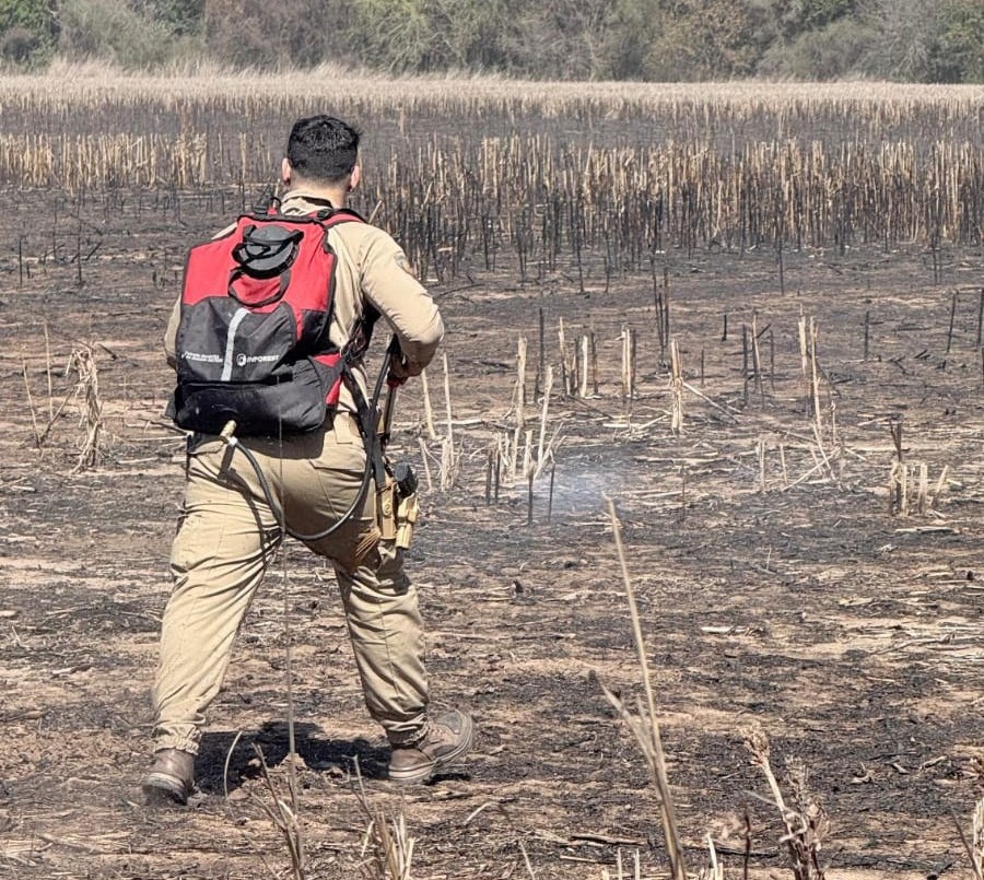 Villa Retiro: un incendio de pastizales afectó a cinco hectáreas | Córdoba
