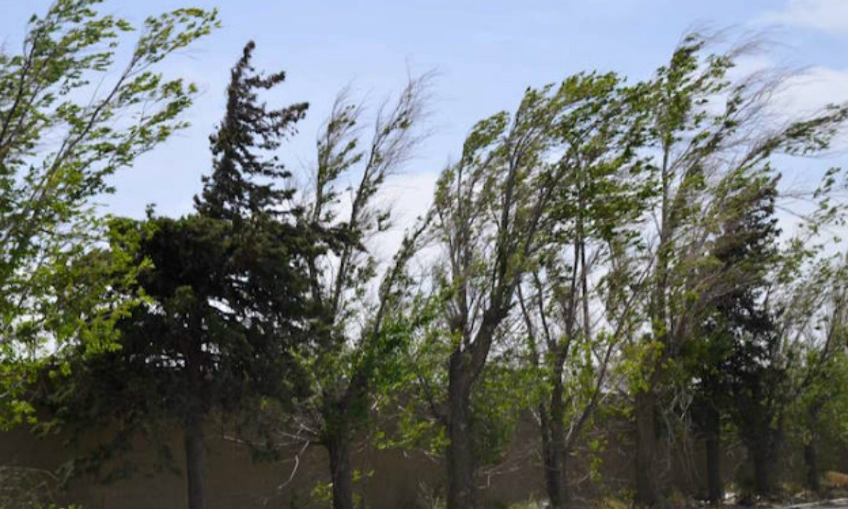 Alerta en Córdoba por vientos de más de 75 km/h y riesgo extremo de incendios | Córdoba