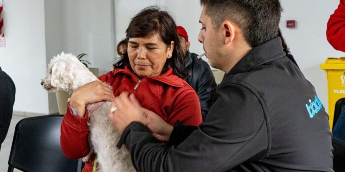 BioCórdoba organiza jornadas de vacunación antirrábica | Córdoba