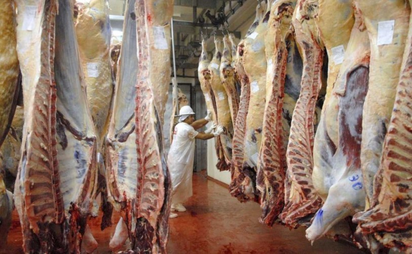 El Gobierno suspendió también las retenciones a la carne vacuna y aviar | Política y economía