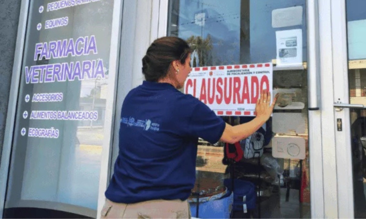 Clausuraron dos veterinarias “truchas” y secuestraron 2.000 productos | Córdoba