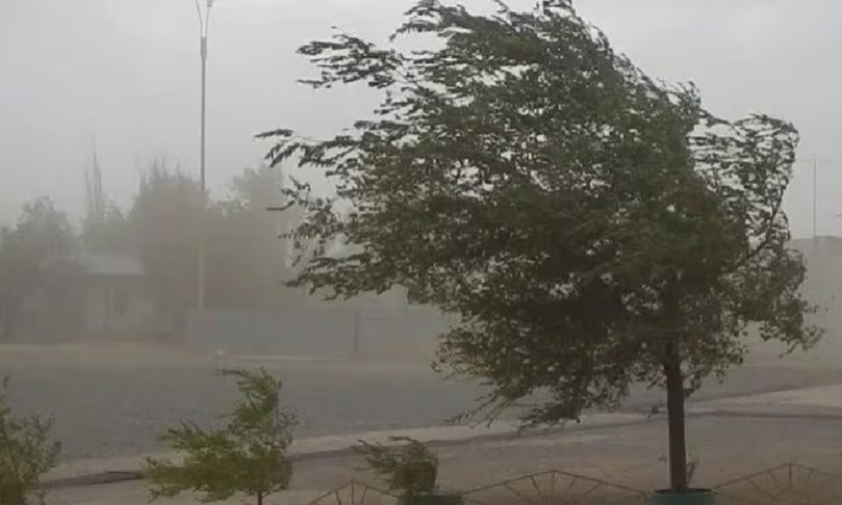 Alerta amarilla: ocho provincias afectadas por ráfagas de hasta 80 km/h | Córdoba