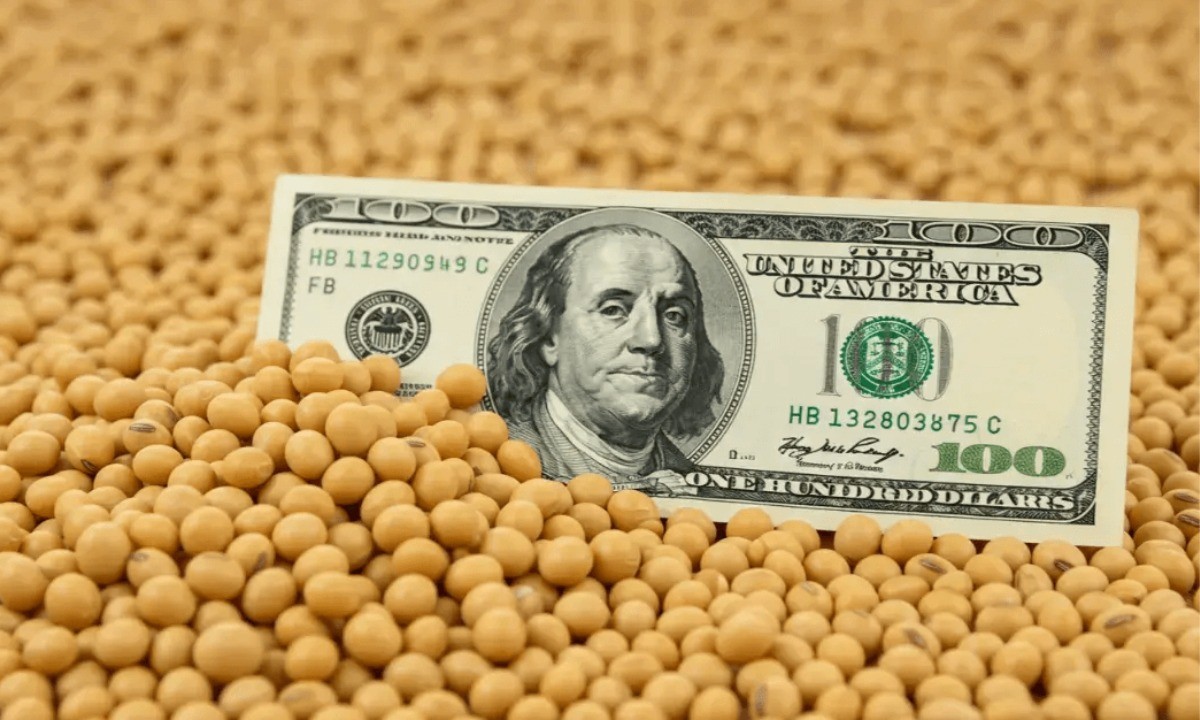 ARCA informó que se completó el cupo de exportaciones con retenciones cero | Política y economía