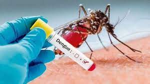 Comenzó la campaña de vacunación contra el dengue en Córdoba: quiénes recibirán las primeras dosis | Córdoba