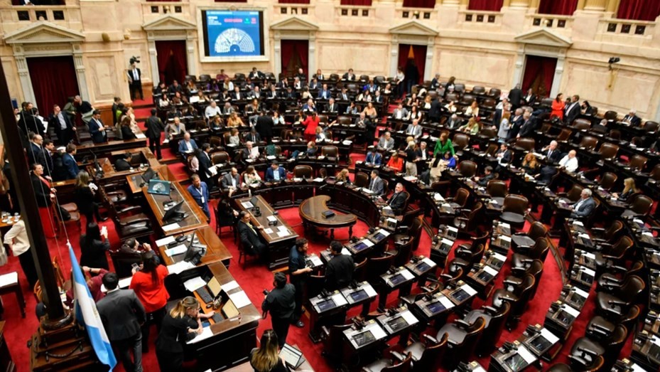 La oposición convocó a una sesión en Diputados para reformar los DNU | Política y economía