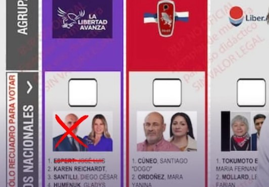 La Libertad Avanza pedirá la reimpresión de las boletas y aguarda la definición de la Justicia Electoral | Política y economía