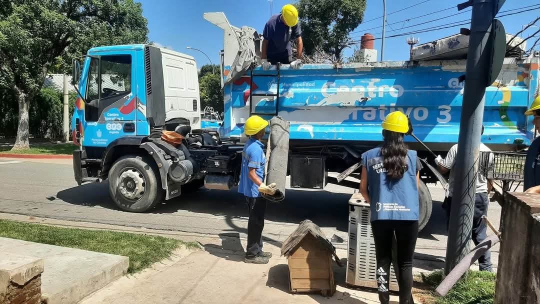 Sin casos de dengue, la Municipalidad activa acciones de prevención ambiental | Córdoba